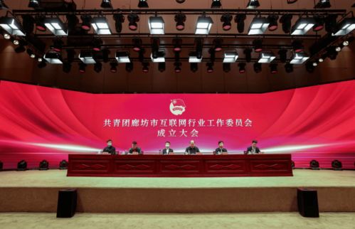 共青團(tuán)廊坊市互聯(lián)網(wǎng)行業(yè)工作委員會(huì)正式成立，為本地企業(yè)網(wǎng)站建設(shè)注入青春動(dòng)能